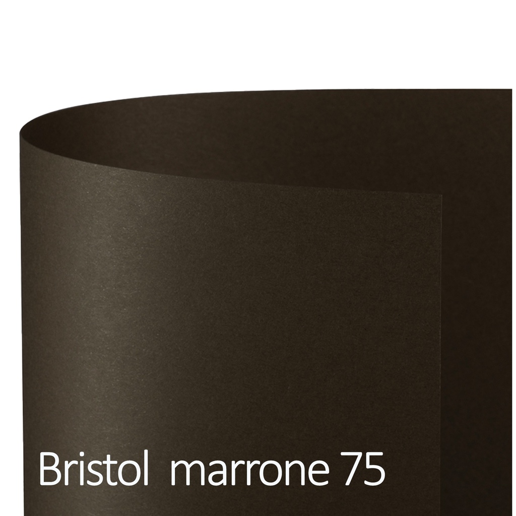 Conf.25 cartoncino Bristol Color 200gr 50x70cm marrone 75 Favini