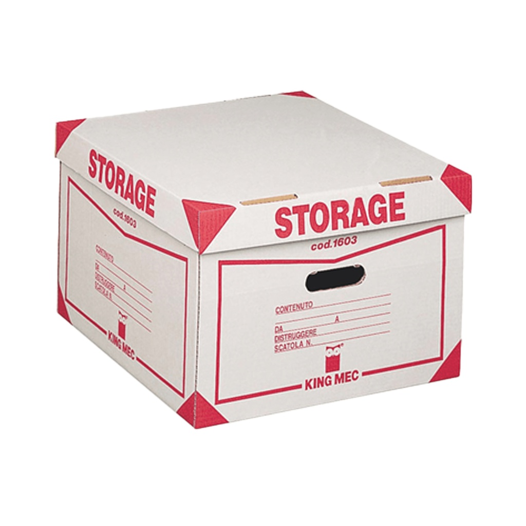 Contenitore STORAGE con coperchio (1603 385x264x397mm REXEL