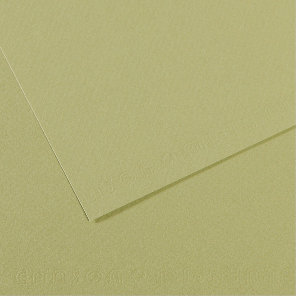 Foglio MI-TEINTES A4 160 gr. 480 verde mandorla