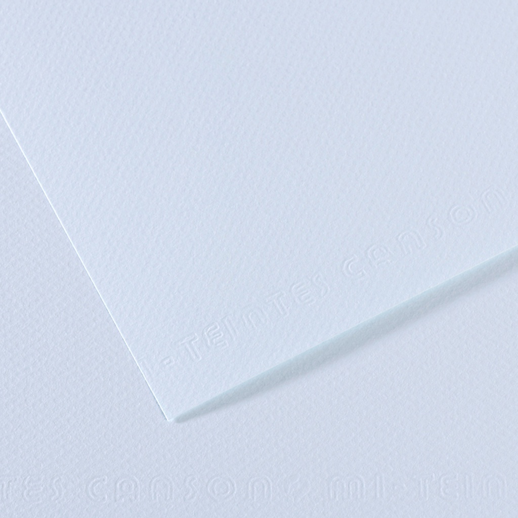 Foglio MI-TEINTES A4 cm 160 gr. 102 azzurro (Delist