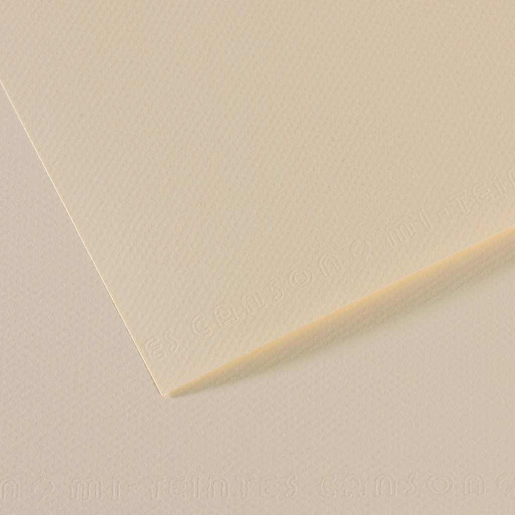 Foglio MI-TEINTES A4 cm 160 gr. 110 giglio