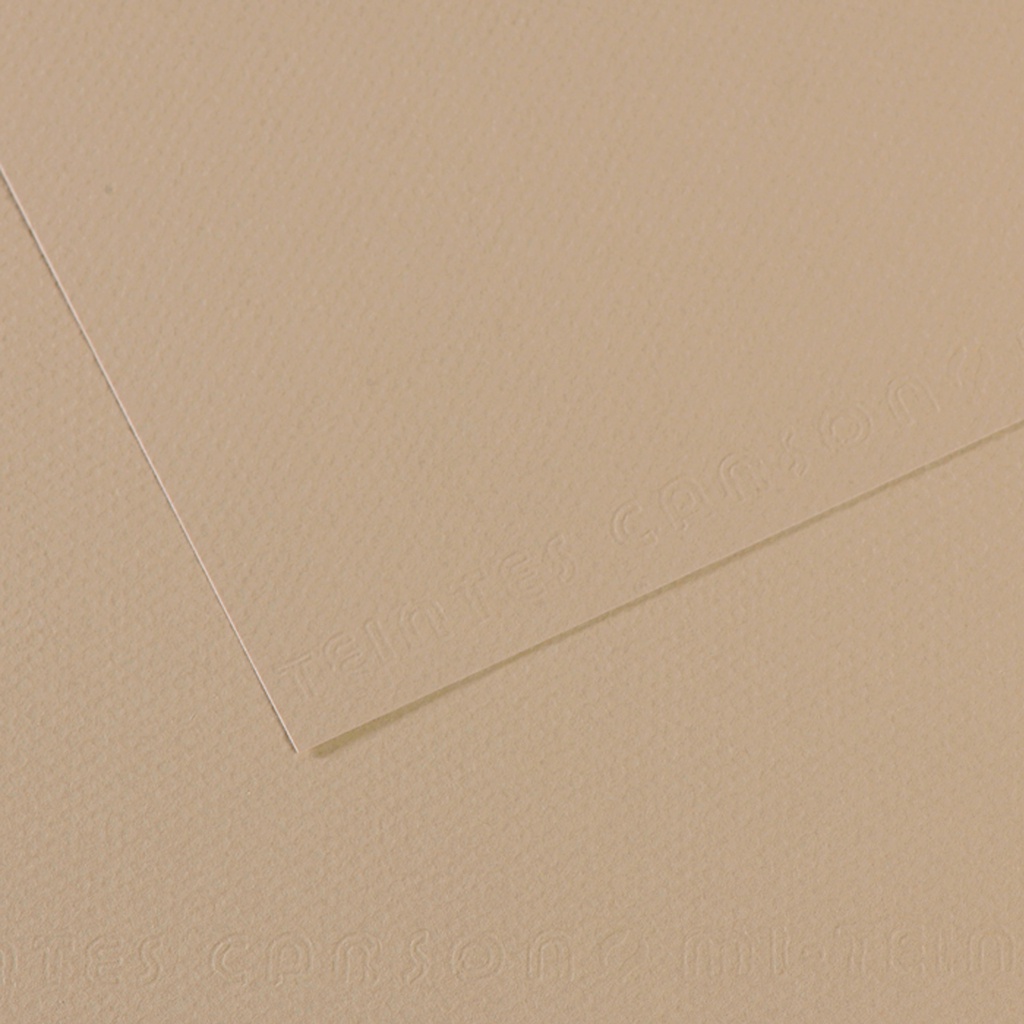 Foglio MI-TEINTES A4 cm 160 gr. 343 grigio trianon