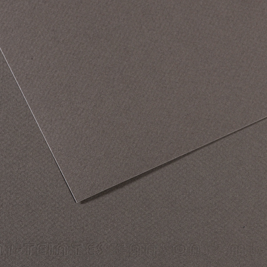 Foglio MI-TEINTES A4 cm 160 gr. 345 grigio ardesia