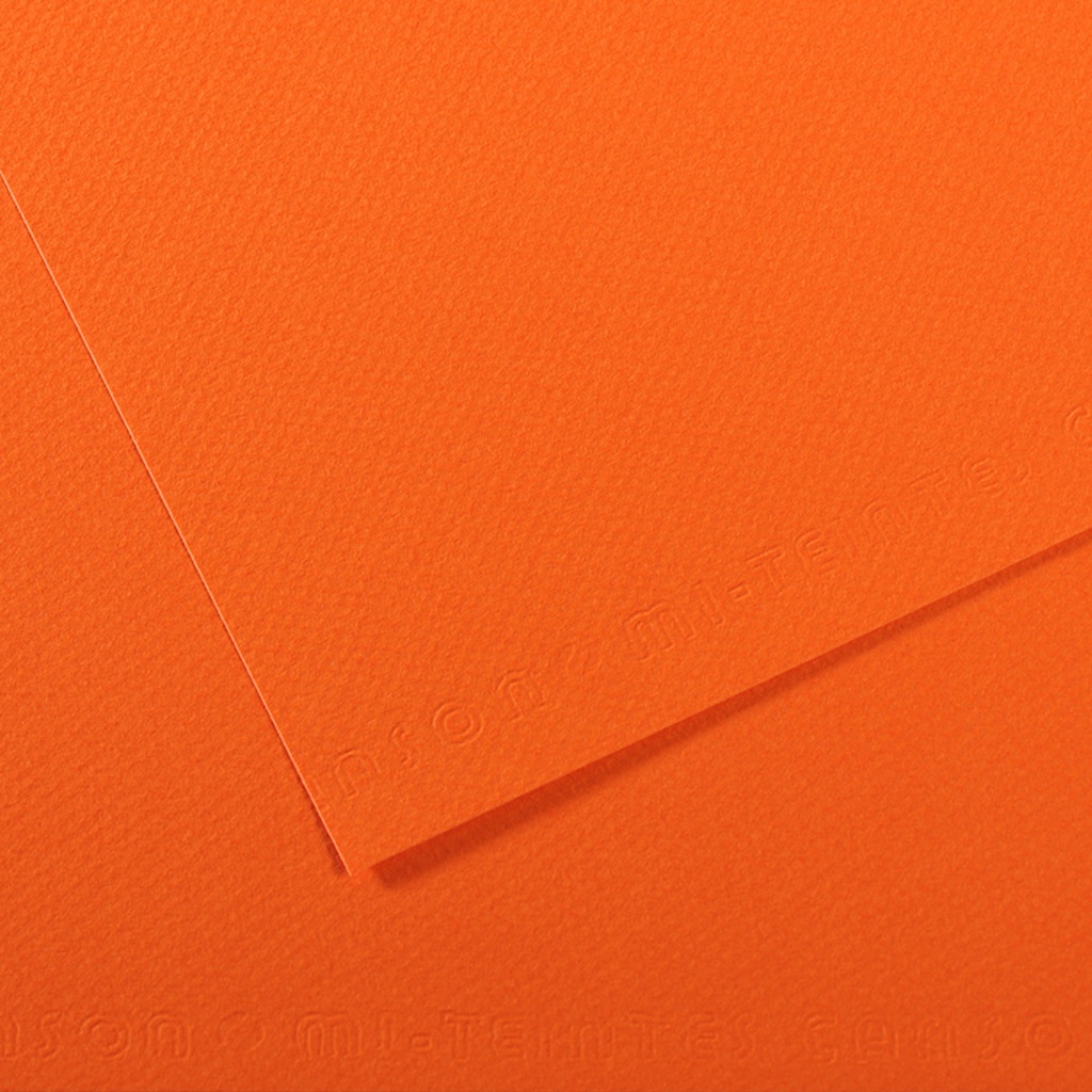 Foglio MI-TEINTES A4 cm 160 gr. 453 arancione