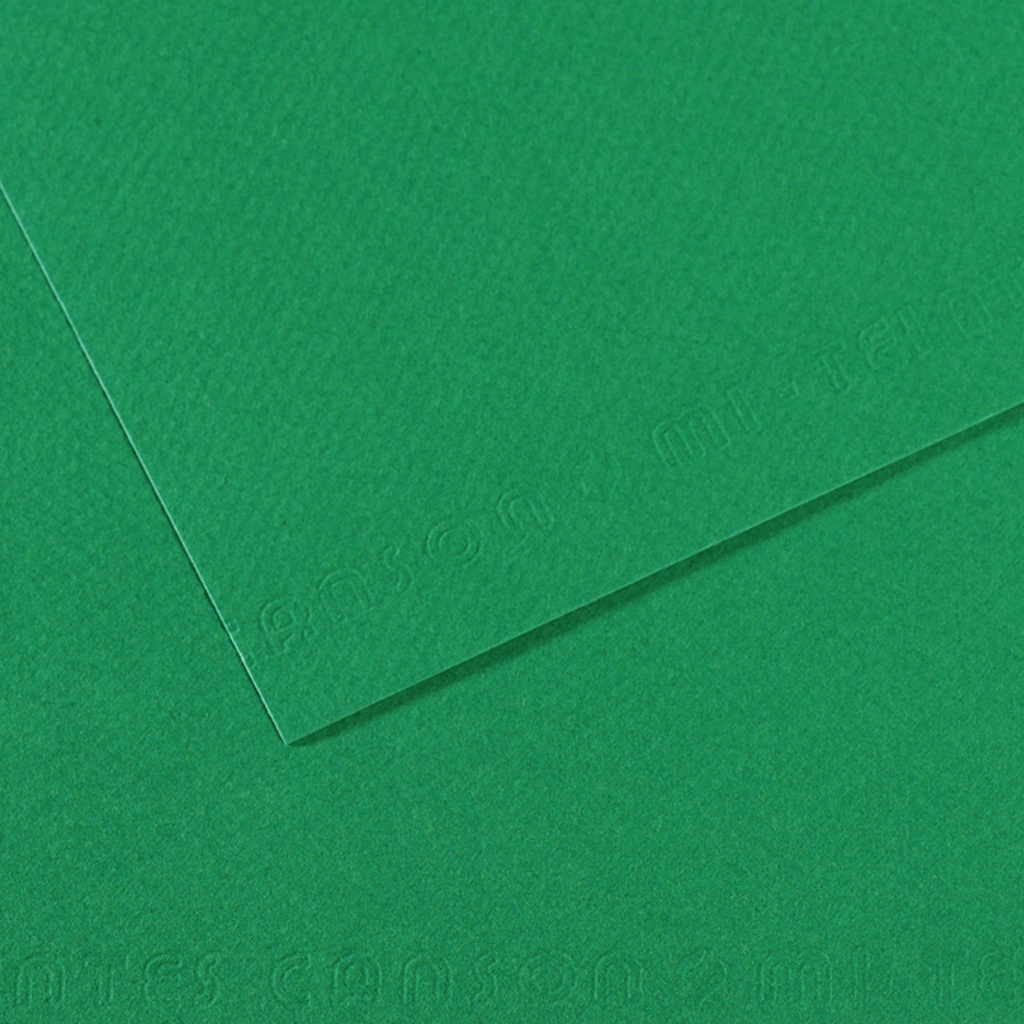 Foglio MI-TEINTES A4 cm 160 gr. 575 verde biliardo