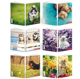 ***Maxiquaderno A4 36fg+2 100gr 10mm BABY Be More 2024 BM