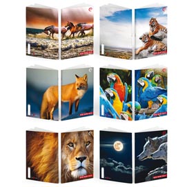 Maxiquaderno A4 36fg+2 100gr rigo di 3a WILD Be More BM