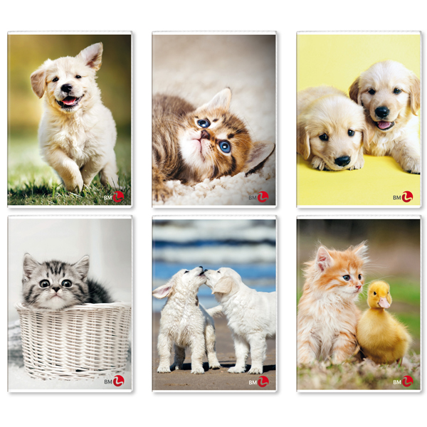 Maxiquaderno A4 40FG+2 80gr 1rigo Cute BM