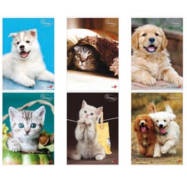 Maxiquaderno A4 40FG+2 80gr 5mm c/marigne Cute BM