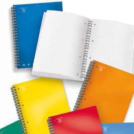 MAXIQUADERNO A4 SPIRALATO c/fori 80gr 100fg 1rigo MONOCROMO PIGNA