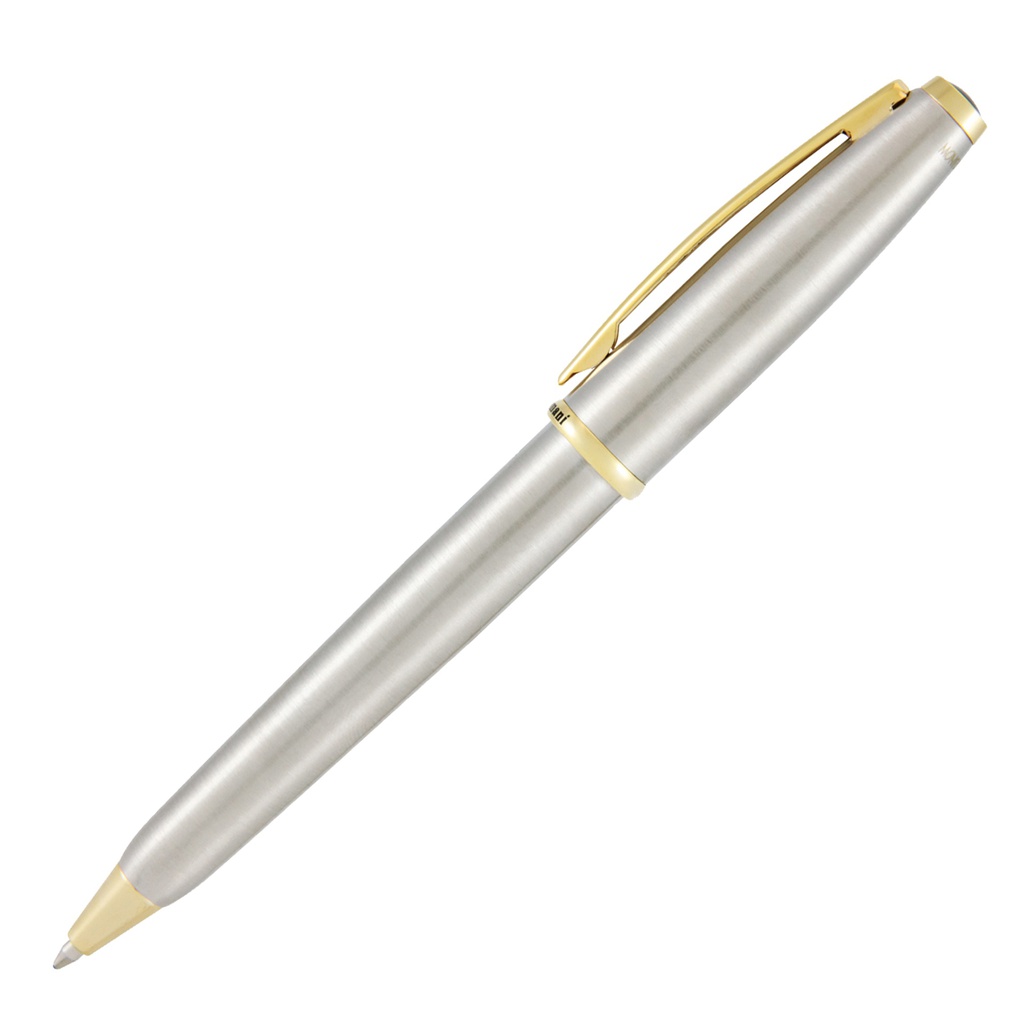 Penna sfera Aldo Domani punta M fusto silver Monteverde