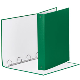 RACCOGLITORE Meeting 30 A4 4R IN PPL Verde Esselte