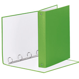 RACCOGLITORE Meeting 30 A4 4R IN PPL Verde VIVIDA Esselte