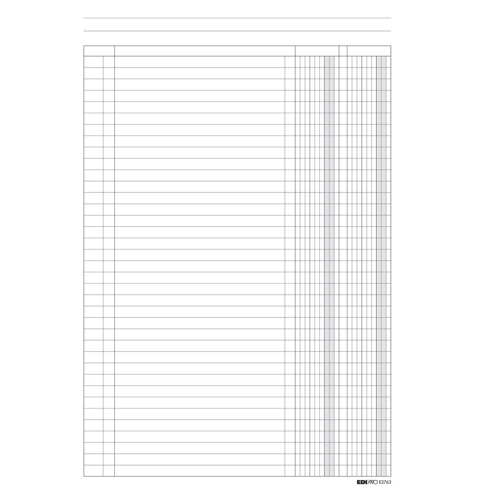 REGISTRO A 2 COLONNE 100PAG. 31X24CM E2763