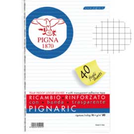 RICAMBI FORATI RINFORZATI A4 4MM 40FG 80GR PIGNARIC