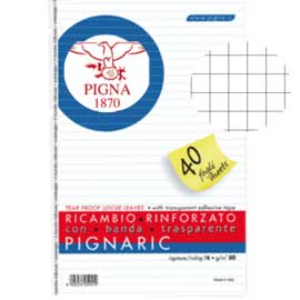 RICAMBI FORATI RINFORZATI A4 5MM 40FG 80GR PIGNARIC