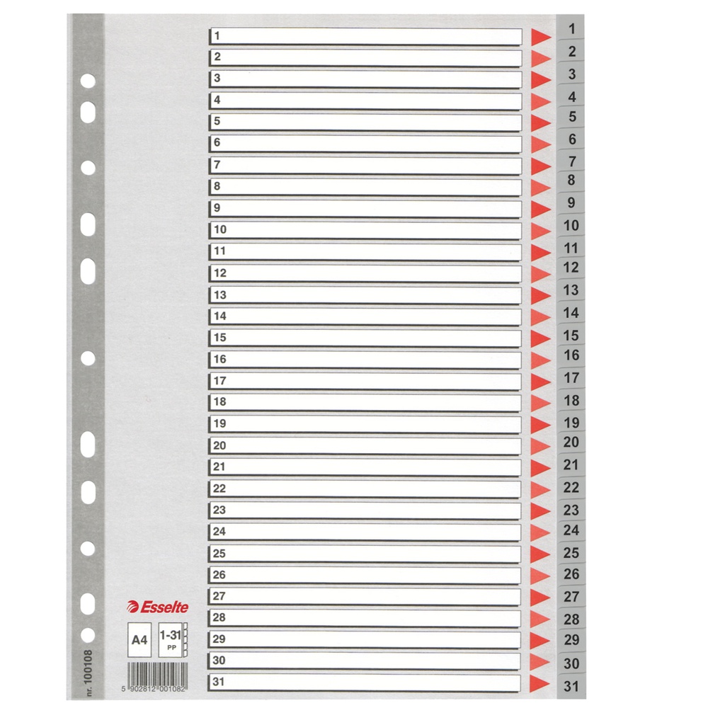 Separatore in PPL grigio numerico 1-31 f.to A4 ESSELTE