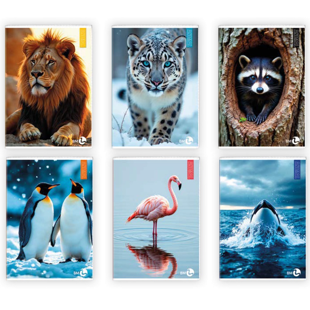 Maxiquaderno A4 40fg+2 80gr 4mm Animal BM
