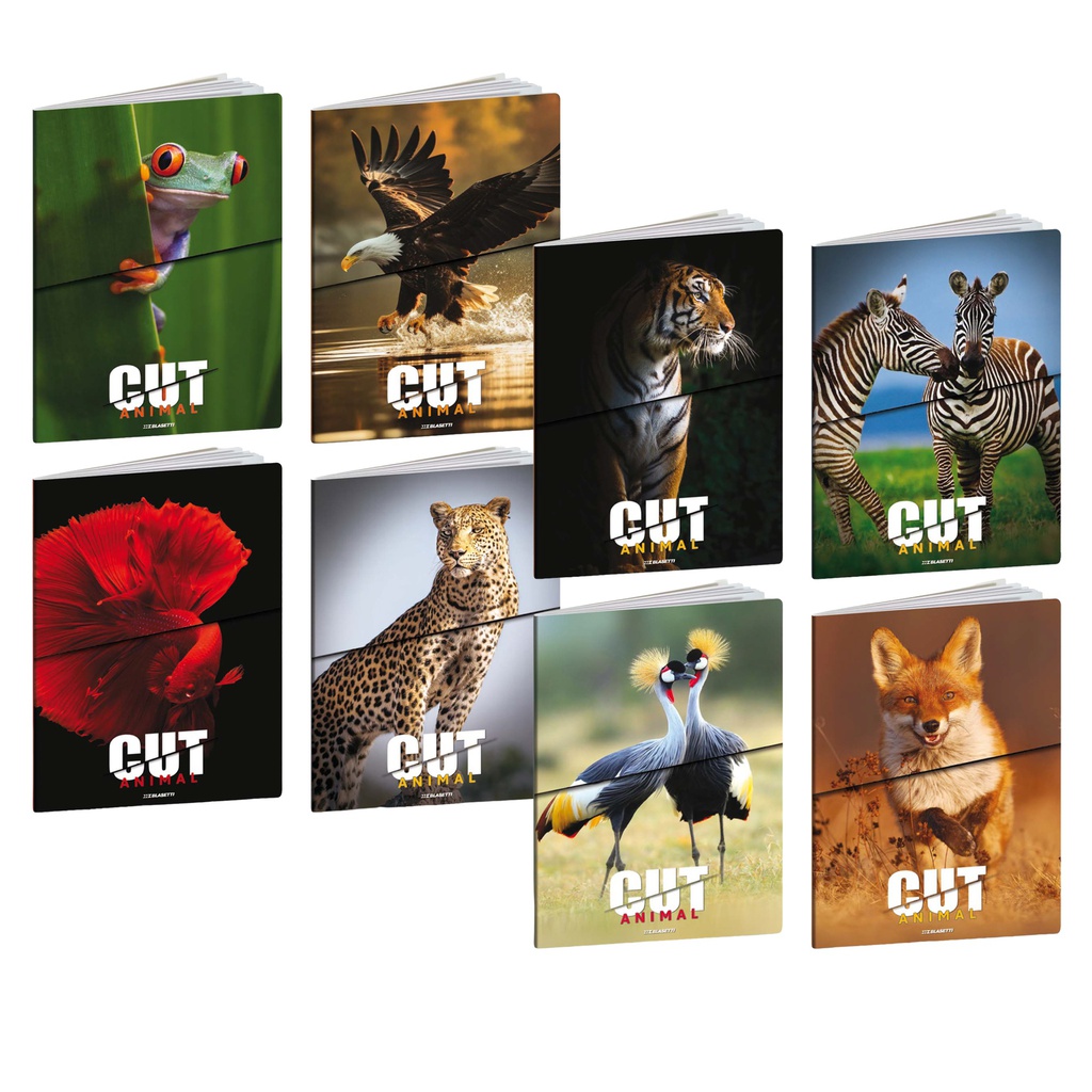 Maxiquaderno A4 20fg+1 80gr 1 rigo c/margine Animal Cut Blasetti