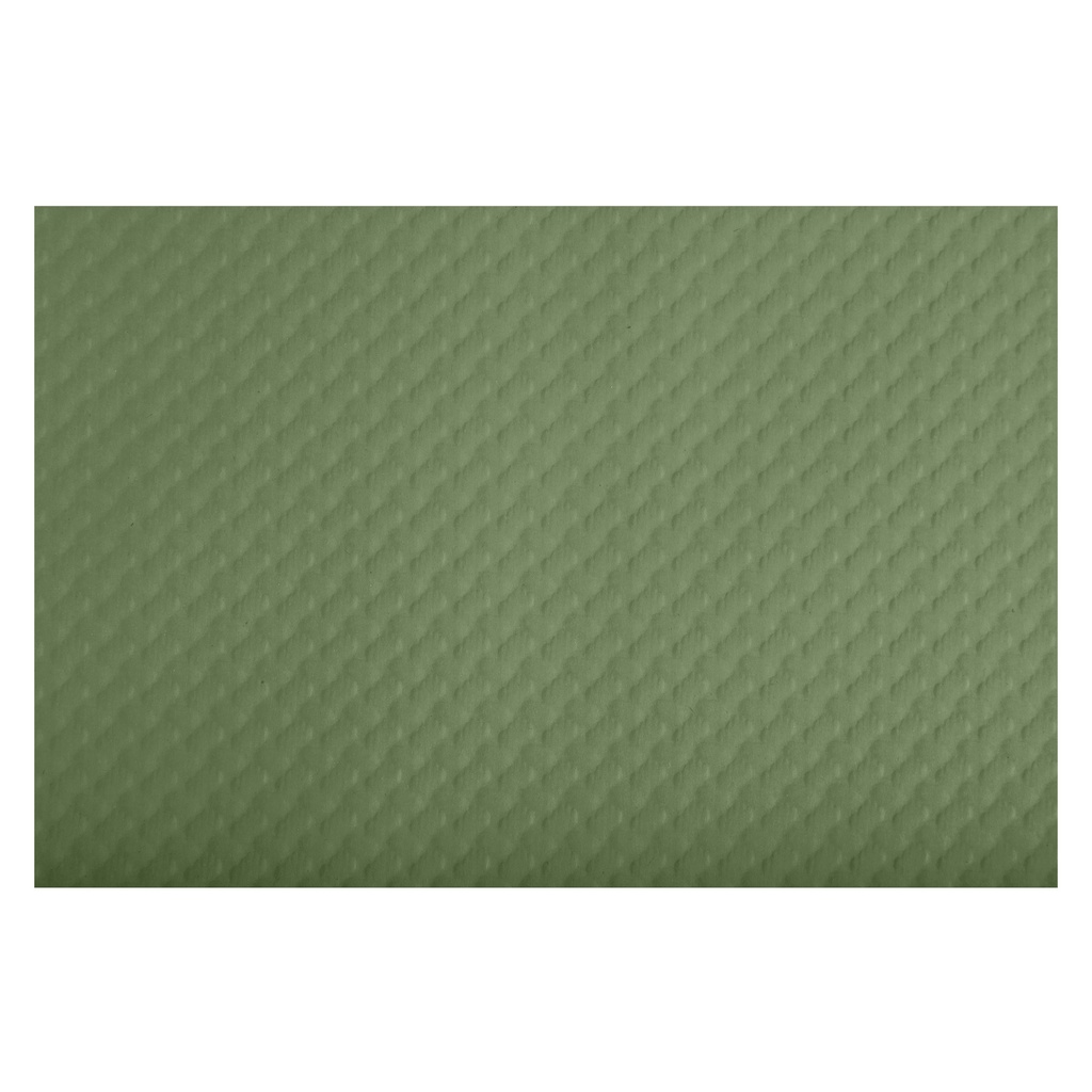 Conf 500 tovagliette monouso Tiss Lack 30x40cm carta verde oliva Pro Nappe