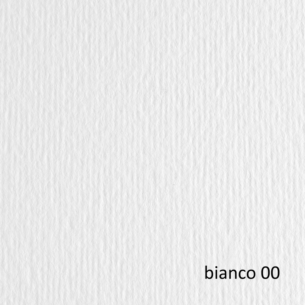 BLISTER 20FG CARTONCINO 50X70 220GR BIANCO 100 FABRIANO ELLE ERRE