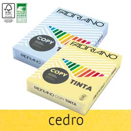 Carta Fabriano Colore A4 160gr 250fg col.tenui cedro