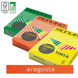 FabrianoColore A4 80GR 500FG COL.FORTI ARAGOSTA