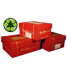 CARTA IN MODULO CONTINUO 24X11'' 60GR (2000FG CARTA RICICLATA Piste Staccabil