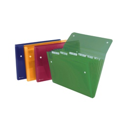 [62057] CARTELLA A 6 TASCHE 22X30CM ASSORT. ICE REXEL