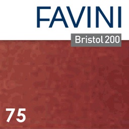[82214] Conf.25 cartoncino Bristol Color 200gr 50x70cm marrone 75 Favini