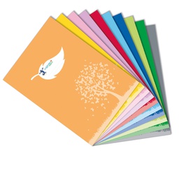 [93877] Coprimaxi Colorosa Green 21x30cm c/tasche rosa RiPlast