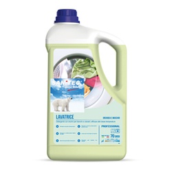 [82768] Detersivo liquido lavatrice Washdet Muschio Bianco 5Lt Sanitec