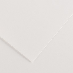 [85566] Foglio COLORLINE 70x100 cm 220 gr. 01 Bianco