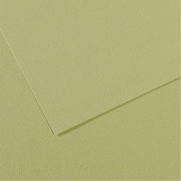 [92882] Foglio MI-TEINTES A4 160 gr. 480 verde mandorla