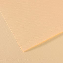[92871] Foglio MI-TEINTES A4 cm 160 gr. 111 avorio
