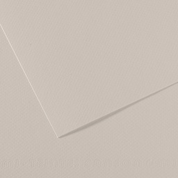 [92869] Foglio MI-TEINTES A4 cm 160 gr. 120 grigio perla
