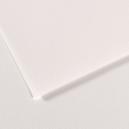 [92868] Foglio MI-TEINTES A4 cm 160 gr. 335 bianco