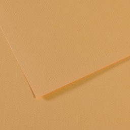 [92874] Foglio MI-TEINTES A4 cm 160 gr. 340 canapa chiara