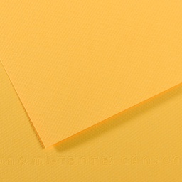 [92876] Foglio MI-TEINTES A4 cm 160 gr. 400 botton d'oro