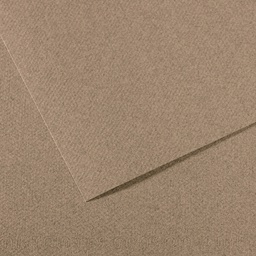 [92885] Foglio MI-TEINTES A4 cm 160 gr. 431 grigio screziato