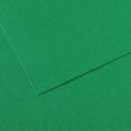 [92897] Foglio MI-TEINTES A4 cm 160 gr. 575 verde biliardo