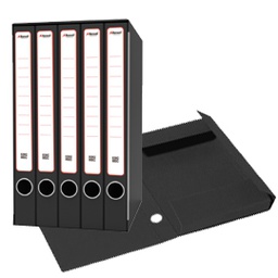 [79872] Gruppo raccoglitori Qunitetto c/cartelle 25x35cm dorso 23,5cm Rexel