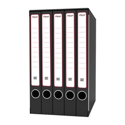 [79872] Gruppo raccoglitori Qunitetto c/cartelle 25x35cm dorso 23,5cm Rexel