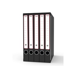 [79876] Gruppo raccoglitori Sestetto c/anelli 25,5x34,5cm dorso 23cm Rexel