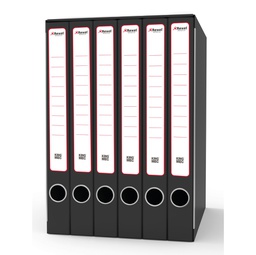 [79873] Gruppo raccoglitori Sestetto c/cartelle 25,5x34,5cm dorso 23cm Rexel