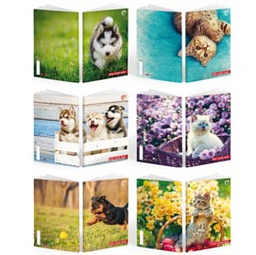 [81939] ***Maxiquaderno A4 36fg+2 100gr 10mm BABY Be More 2024 BM