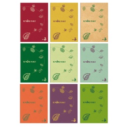 [94496] Maxiquaderno A4 36fg+2 80gr 1 rigo c/margine Be More Planet BM