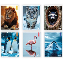 [82531] Maxiquaderno A4 40fg+2 80gr 1rigo Animal BM