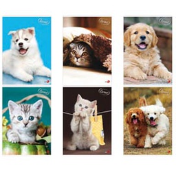 [81327] Maxiquaderno A4 40FG+2 80gr 1 rigo c/margine Cute BM