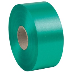 [88198] Nastro liscio 6800 50mmx100mt colore verde bandiera 09 Brizzolari